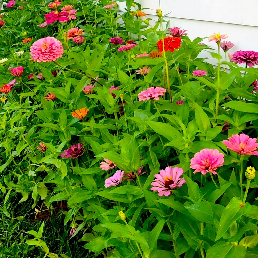 Meet your Posher, Bell